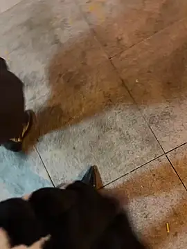 tiantiandao's cam snapshot