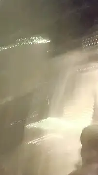 Pussyismyfavoritetaste's web cam