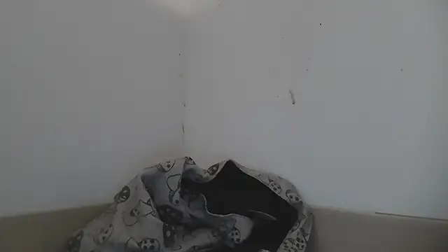 AskAveryAnything's cam snapshot