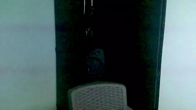 Sebas4lf_'s cam snapshot