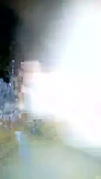 mendelicius's cam snapshot