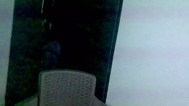 Sebas4lf_'s cam snapshot