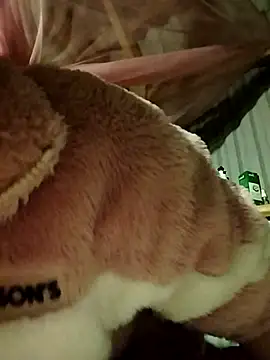 ViVicutek's cam snapshot