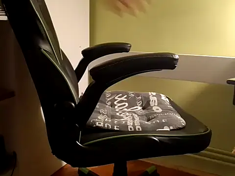 feathersify's cam snapshot