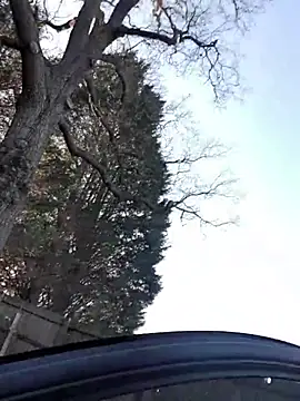 nataliecdlive live sex cam