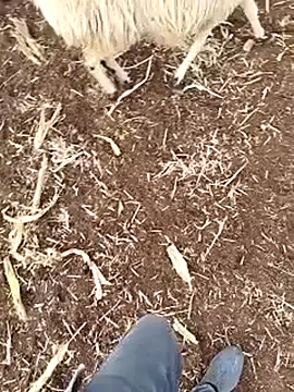 murokkk31's cam snapshot