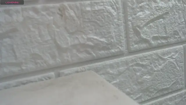 nei_girl's cam snapshot