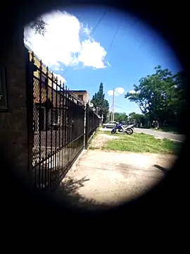 hecwil8 live sex cam