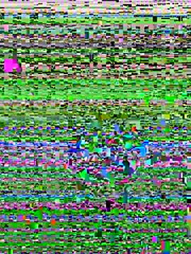 Siempre-locos69 live sex cam