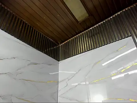 Avanahomix07's cam snapshot