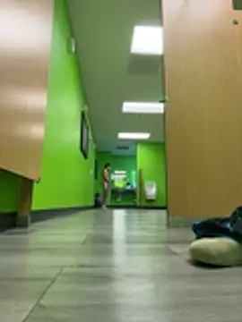 StrokingDaddy4 live sex cam