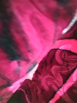 Chanderi19 live sex cam