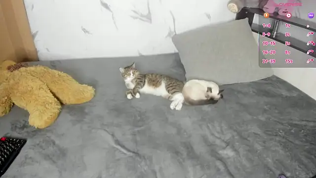 SophieRayne live sex cam