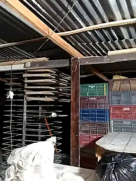 hoteder's cam snapshot