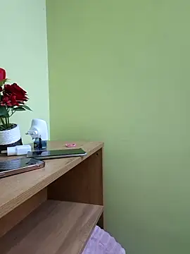 Asmiratamil's cam snapshot