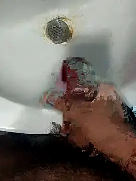 pedritolobito live sex cam