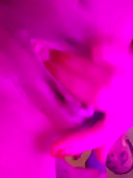 LydiaMaus96 live sex cam