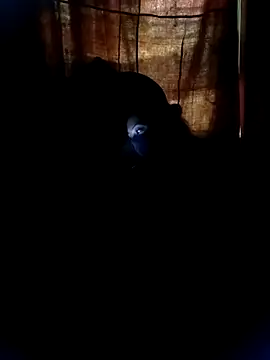 Porimoni22's cam snapshot