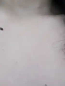 Guadalupe_Lopez live sex cam