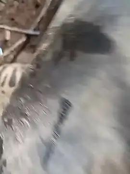 hrrounsb99 live sex cam