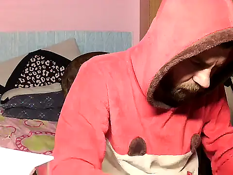 Pintiliescu's cam snapshot