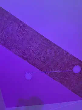 PandoraRider's cam snapshot