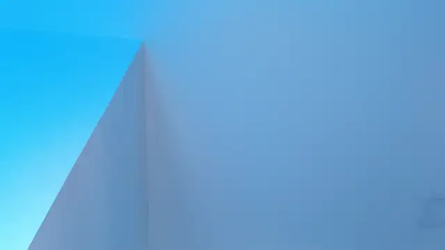 Sebax_Young's cam snapshot