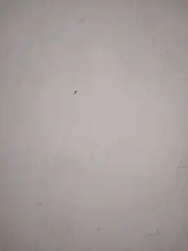 Rafaelayamazaki live sex cam