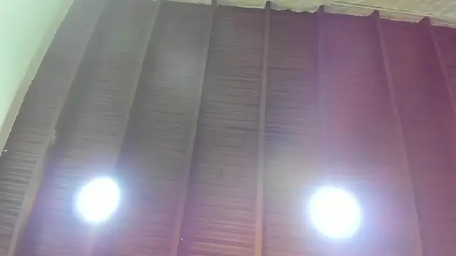 _bonnyandclyde's cam snapshot