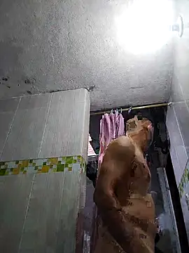 bigbo_777's cam snapshot