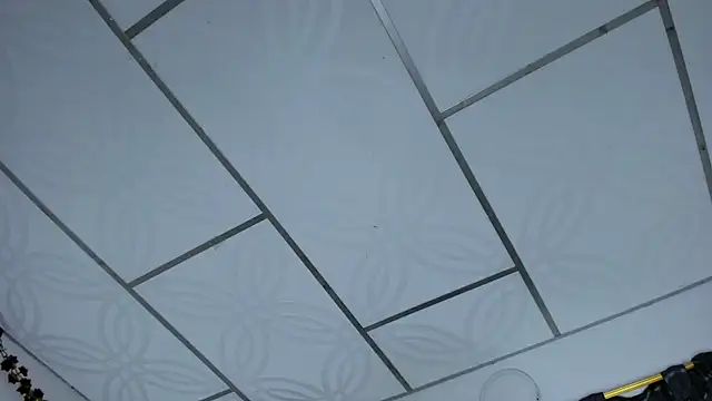 Iam_Sammy_'s cam snapshot