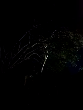 _kimberlly's cam snapshot