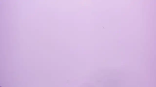 teffy_vixen's cam snapshot