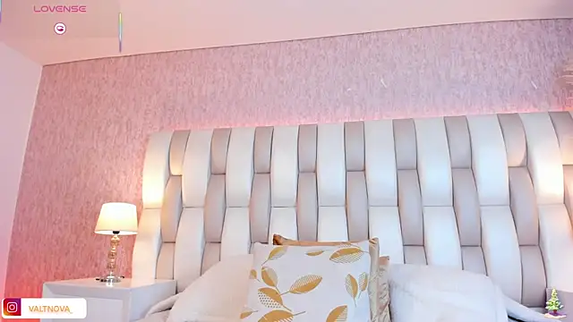 valt_'s cam snapshot