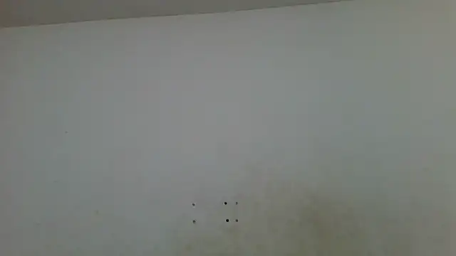 twerker_lyly's cam snapshot