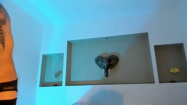 felix__star's cam snapshot