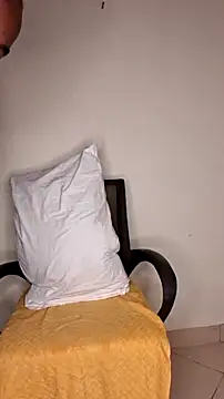 Perqueen's cam snapshot