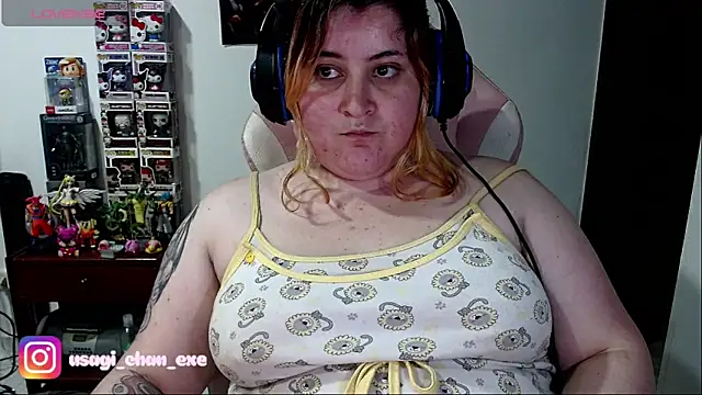 PixelAurora's web cam