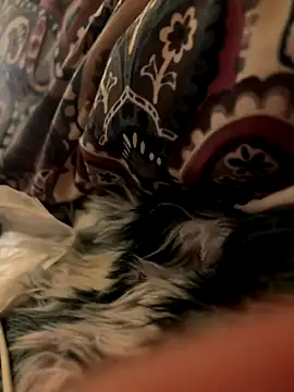 IDGAF-INDB's cam snapshot