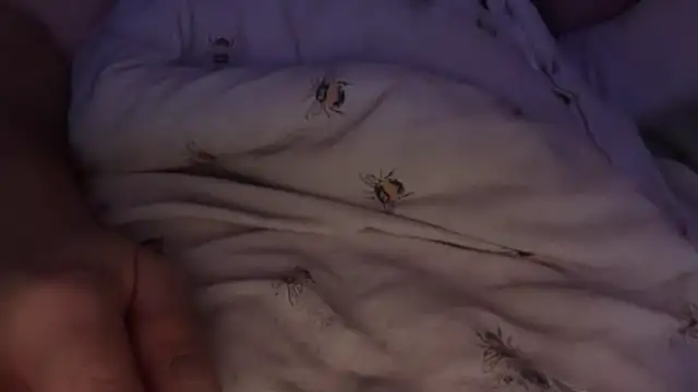 houy111111's cam snapshot