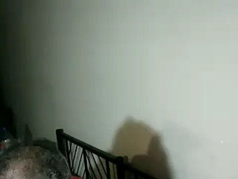 100Tauros's cam snapshot