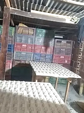 hoteder live sex cam