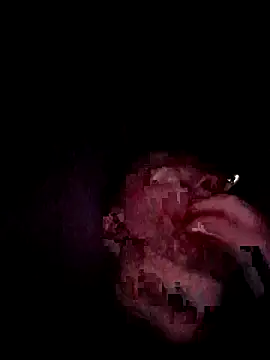 legourmand1's web cam