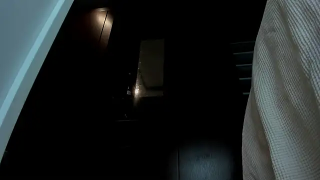 sherilkwang19tv's cam snapshot