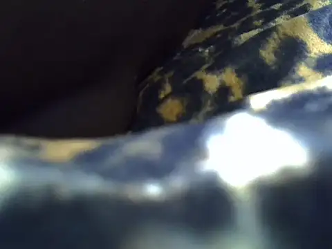 drowllie's cam snapshot