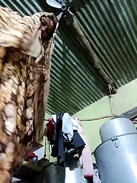 Haliya88's cam snapshot