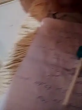 TalonedScrunch's cam snapshot