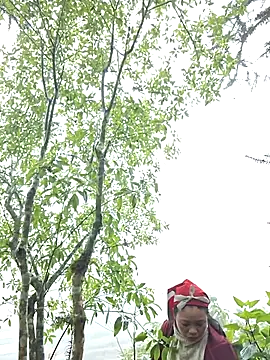 miomio-12's cam snapshot