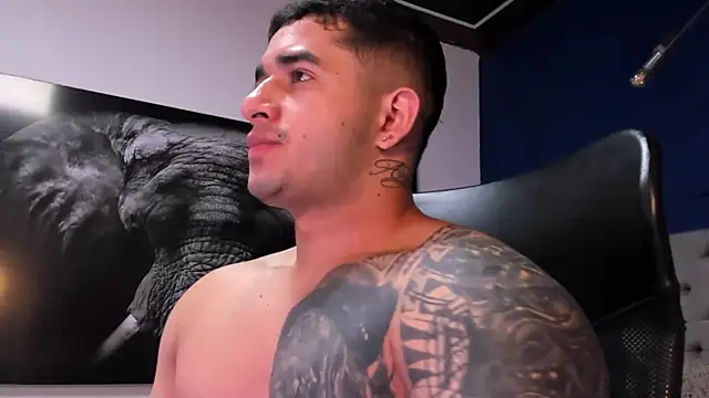 king_falconer's cam snapshot