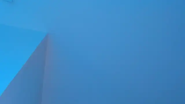 Sebax_Young's cam snapshot